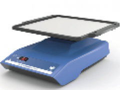 ROCKER 2D BASIC